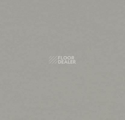 Линолеум Forbo Marmoleum Solid Walton 3371 cement фото 1 | FLOORDEALER